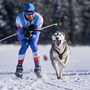 Slavko Hudák - Sleddog Zuberec 2020 (2020 / Február)